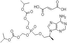 Tenofovir disoproxil fumarate(TDF)